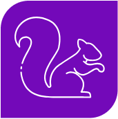 Purple Squirrel Labs